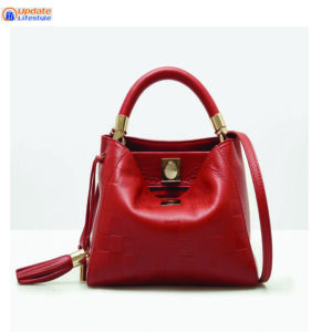 Handbag Ladies Leather